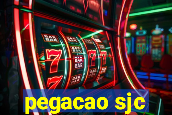 pegacao sjc